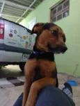 Fabuloso
