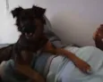 Lulli