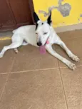 Branquinha