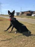 Kiara