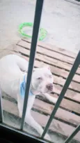 Jack 