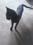 Lua