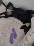 Nalla 
