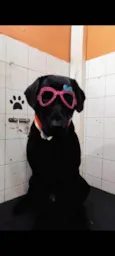 Nalla 