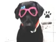 Nalla 