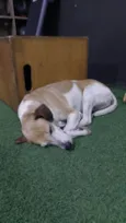 ?