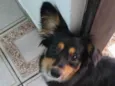 Meg
