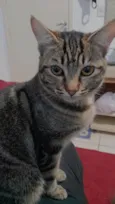 Lua