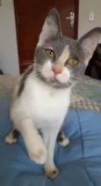 Sophia