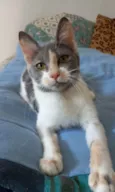 Sophia