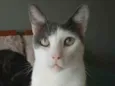 Jhon