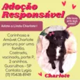 Charlotte