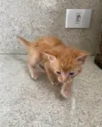 Nicolas 