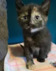 Carla