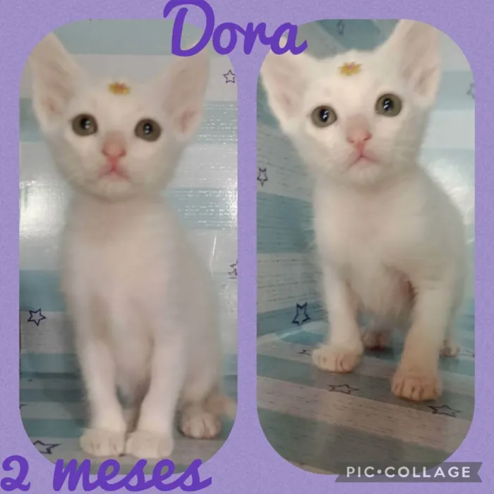 Dora 
