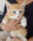 PAÇOCA