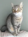 NALA
