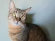 NALA