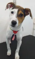 Milo