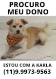 Não sei