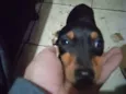 Nenem