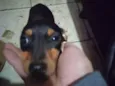 Nenem
