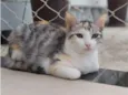 PENÉLOPE