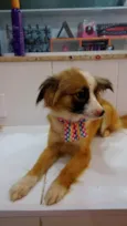 Nina