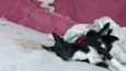 Bono