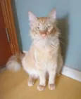 BEN