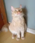 BEN