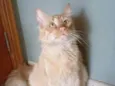 BEN