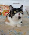 SARA