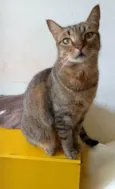 NALA