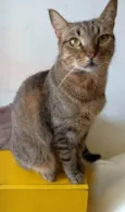 NALA