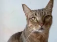 NALA