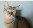 NALA