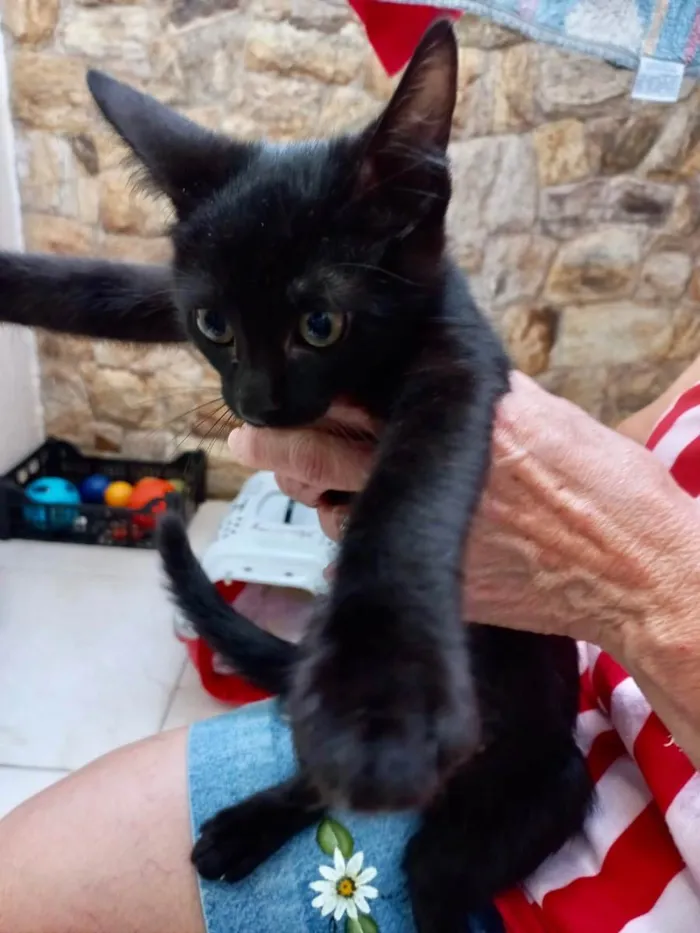 Shoyu bb3meses lindo