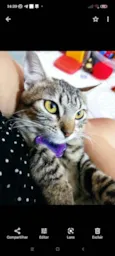 Mimi