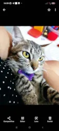 Mimi