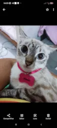 Minnie