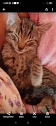 Bebê