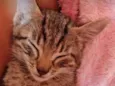 Bebê
