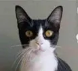 MARGÔ
