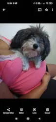 Marieta