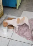 Chiquinho