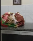 Chiquinho