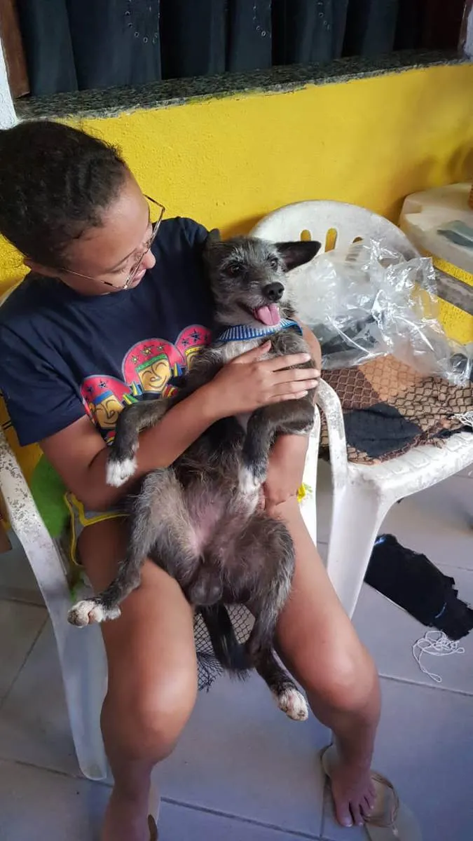 Cachorro raça SRD idade 1 ano nome Jorge