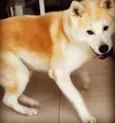 Marley