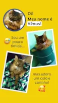 Vênus